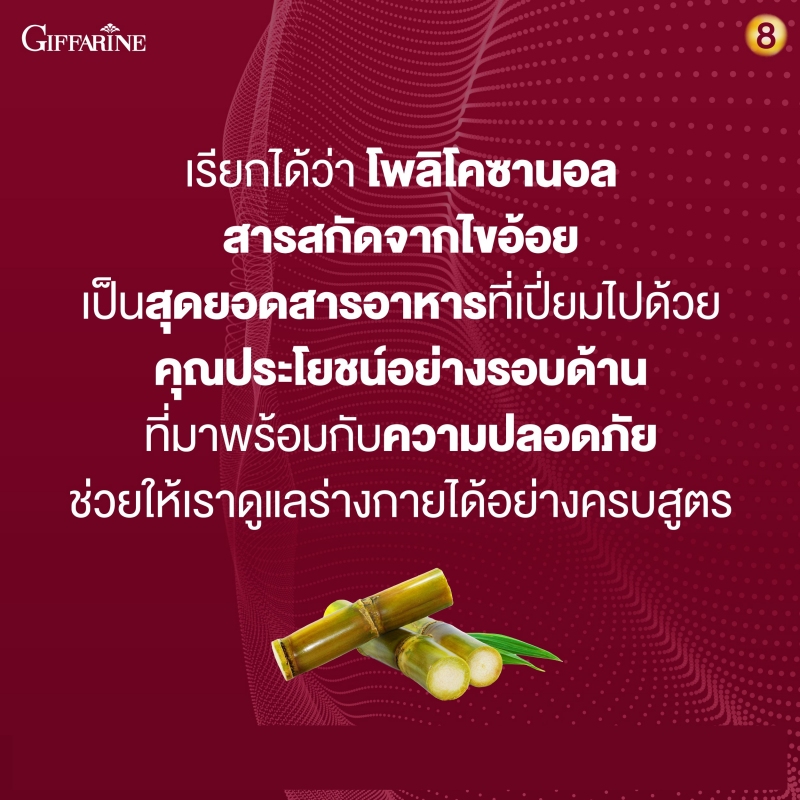 โคซานอล มัลติ แพลนท์ โอเมก้า 3 ออยล์ Cosanol Multi Plant Omega 3 Oil จาก กิฟฟารีน Giffarine โอเมก้า 3 จากพืช