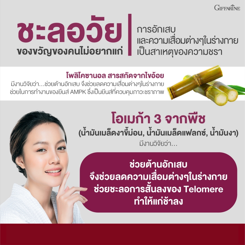 โคซานอล มัลติ แพลนท์ โอเมก้า 3 ออยล์ Cosanol Multi Plant Omega 3 Oil จาก กิฟฟารีน Giffarine โอเมก้า 3 จากพืช