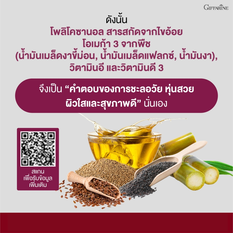 โคซานอล มัลติ แพลนท์ โอเมก้า 3 ออยล์ Cosanol Multi Plant Omega 3 Oil จาก กิฟฟารีน Giffarine โอเมก้า 3 จากพืช